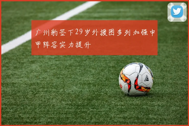 广州豹签下29岁外援图多列加强中甲阵容实力提升
